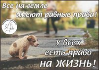права.jpg