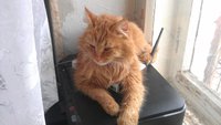 IMAG0677.jpg