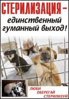 стерилизация.jpg