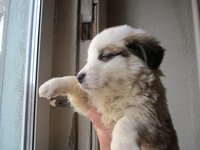 IMG_5277.jpg