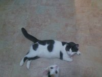 Kkt--BYWfqA.jpg