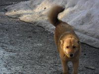 SAM_1047.JPG