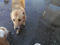 SAM_1049.JPG