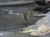SAM_1046.JPG