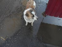 SAM_1055.JPG