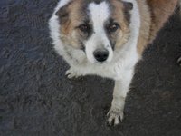 SAM_1061.JPG