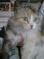 DSC07555.JPG