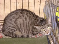 DSC07629.JPG