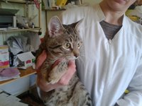 20130411_165210.jpg