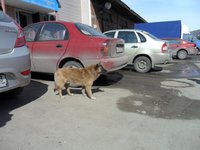 SAM_1074.JPG