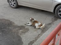 SAM_1075.JPG