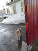 SAM_1056.JPG