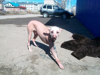 QR9sQ83Eiak.jpg