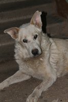 IMG_1028.jpg