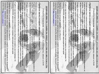 КОНЕЧНАЯ - копия (2)К.jpg