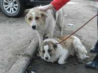 DSCN2831.jpg