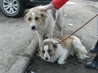 DSCN2833.jpg