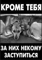 кроме тебя.jpg