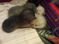 ____0296.jpg