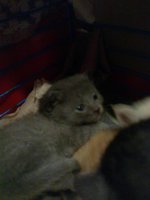 ____0298.jpg