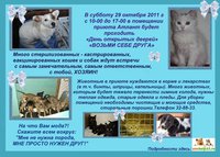 акция атлант копиям.JPG