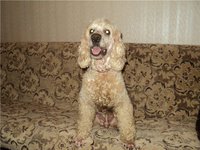 Безымянный.JPG