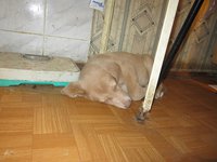 IMG_5285.JPG