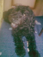 20130419100258_0397.jpg