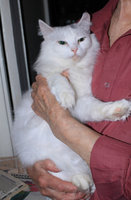 IMG_5890.jpg