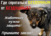 где спрятаться1.jpg