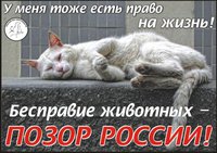 бесправие.jpg