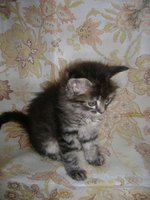 DSC07666.JPG