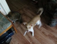 IMG_2546.jpg