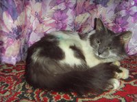 Изображение 026.jpg