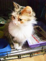 DSC07681.JPG