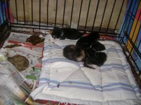 DSC07676.JPG