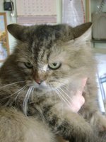 DSC07692.JPG