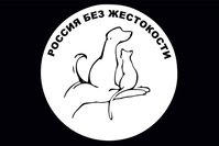 yICVmyIjBMA.jpg
