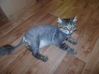 DSCN0118.JPG