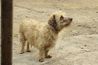 _17.jpg (74.98 КБ) 3460 просмотров _17.jpg