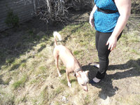 DSCN2305.jpg