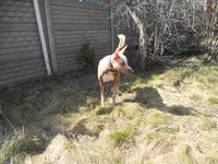 DSCN2306.jpg