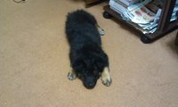 20130428190537_IMAG0683.jpg