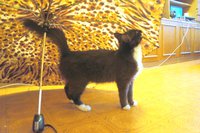1DSC08580.jpg