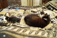 1DSC08678.jpg