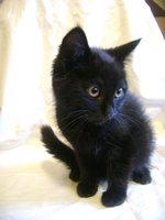 DSC07715.JPG