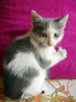 DSC07712.JPG