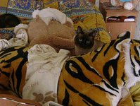 DSC07738.JPG