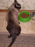 DSC07742.JPG