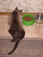 DSC07743.JPG